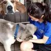 Jenna Kwan - @30217618345 - TikTok