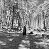 Jenna Marie - @jennalandcreations - TikTok