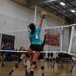 Jenna Leone - @jennavball.indoor - Instagram