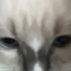 Jenna Marsh - @jennamarsh9791 - TikTok