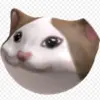 pop cat - @jennamarsh5 - TikTok