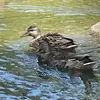jenna_mays - @jenna_mays - TikTok