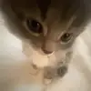 JennaMays - @jennamayswmiwnpxo - TikTok