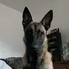 JennaMcclain - @jennamcclainxwzdyp - TikTok