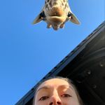 Jenna McGuire - @jenna__mcguire - Instagram