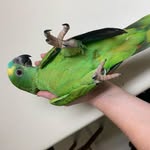 Jenna Meade - @talkinbirdie - Instagram