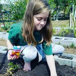 jenna meier - @wmss.garden - Instagram