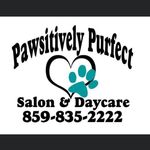 Jenna Meier - @pawsitivelypurfect11 - Instagram
