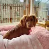 jennamessenger3 - @jennamessenger3 - TikTok