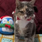 Jenna Munn - Facebook