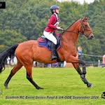 JennaNapierEventing - @jenna_napier_eventing - Instagram