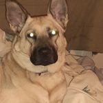 Jenny Newberry - @newberry_jenny - Instagram