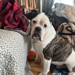 Jenna Calvert Norman - @jcalvert616 - Instagram