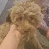 jennanorman55 - @jennanorman55 - TikTok
