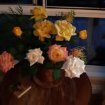Jane Ogden - Facebook