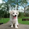 JennaOsborn - @jennaosbornauoyktno - TikTok