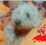Jenny Paez - Facebook