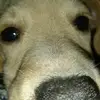 vale - @jenna_paez - TikTok