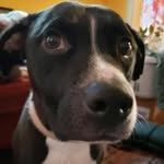 Jennifer Pelfrey Hammond - @grovey2023 - Instagram