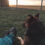 Jenna Penrose - @penrosejenna - Instagram