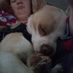 Jenna Penrose - Facebook