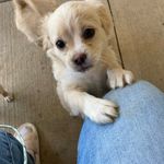 Jenna Penrose - @jenna_penrose - Instagram