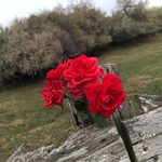 {𝔍𝔢𝔫𝔫𝔞'𝔰....𝔞𝔯𝔱} - @penrosejenna2.0 - Instagram