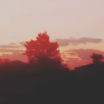 Jenna Preston - @photography._.by._.jen - Instagram