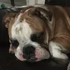 Jenna Ramirez - @jennaluisa_ - TikTok