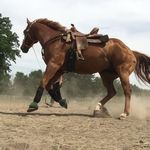 Jenna and Reno - @reno_jenna_norman_ - Instagram
