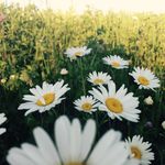Jenna - @jenna_roach_ - Instagram