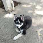 Jenna Rubin - @jenna.rubin.754 - Instagram
