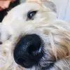jennasaunders - @jenna_saunders - TikTok