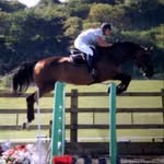 Jenna.Equestrain - @jenna.spicer.equine - Instagram