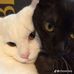 Steavan Jane - Facebook