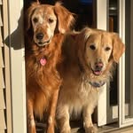 Jennifer Bryan Stratman - @jenniferbryanstratman - Instagram
