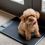 Jenna Swartz Wachs - @jswpetproductsllc - Instagram