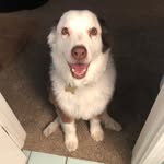 Jennifer Venable - @jvenable609 - Instagram