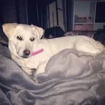Jenni Case - @jenni.case.5 - Instagram