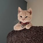 Jenni Gray Snyder - @jennigray88 - Instagram