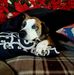 Jennifer Mcleod - Facebook