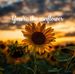 Jenni Taylor - Facebook