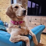 Jenni Wright - @jenniwright4 - Instagram