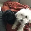 jenniwright84 - @jenni.wright8 - TikTok
