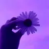 Jennie Ackerman - @bangtanyn01 - TikTok