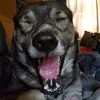 Jennie Barr - @jennie.barr5 - TikTok