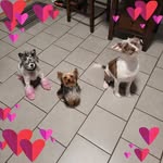 Jenny Beard - @junesgrooms - Instagram