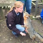 Jenny Beard - @jennythevet - Instagram