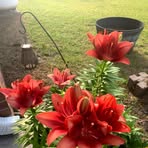 Jennie Craft - Facebook
