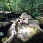 Jennie Shrubb Dodd - @shrubbdodd - Instagram